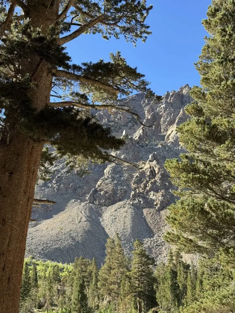 Granite peaks above the lake.